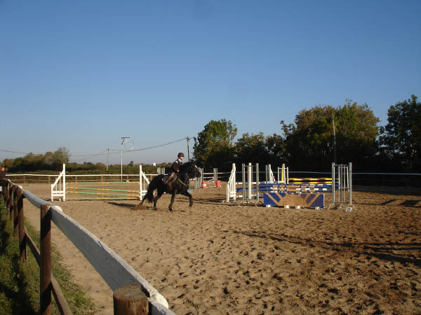 DSC06133