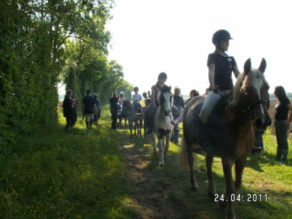 PICT0053
