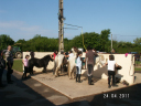 PICT0014