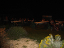 DSC04882
