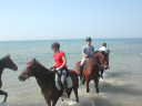 DSCN5688