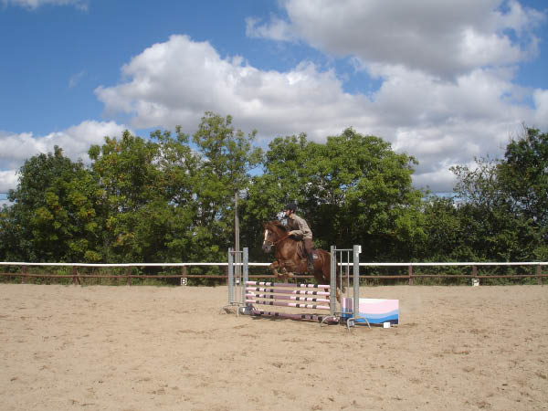 DSC05535