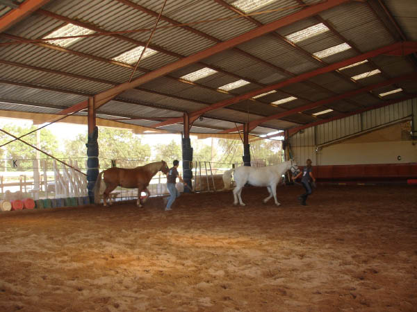 DSC05601