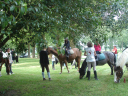 DSC07026