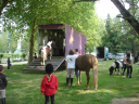 DSC07061