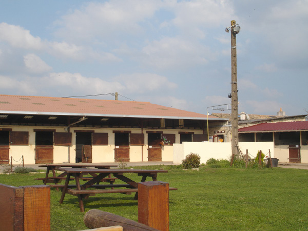 DSC03230