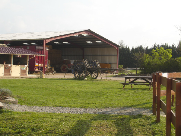 DSC03235
