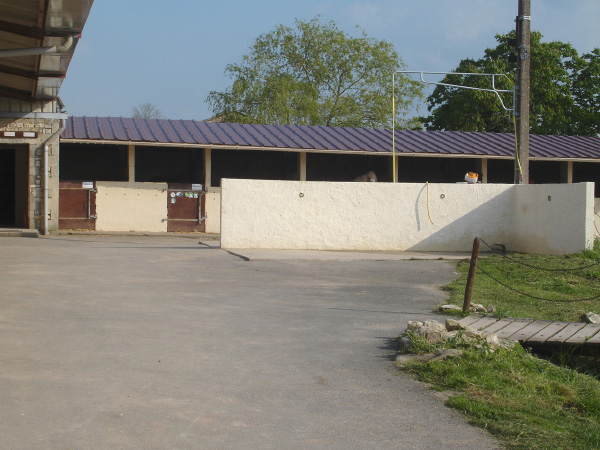 DSC03238