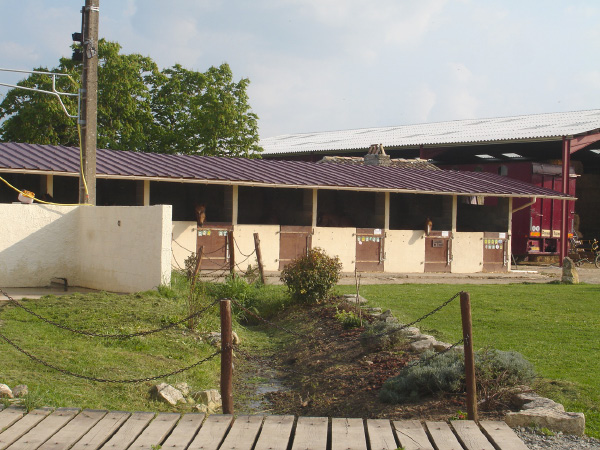 DSC03239